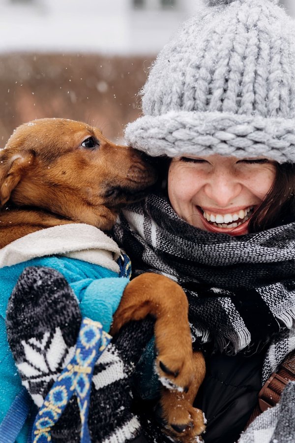 Adoption d'animaux : les avantages